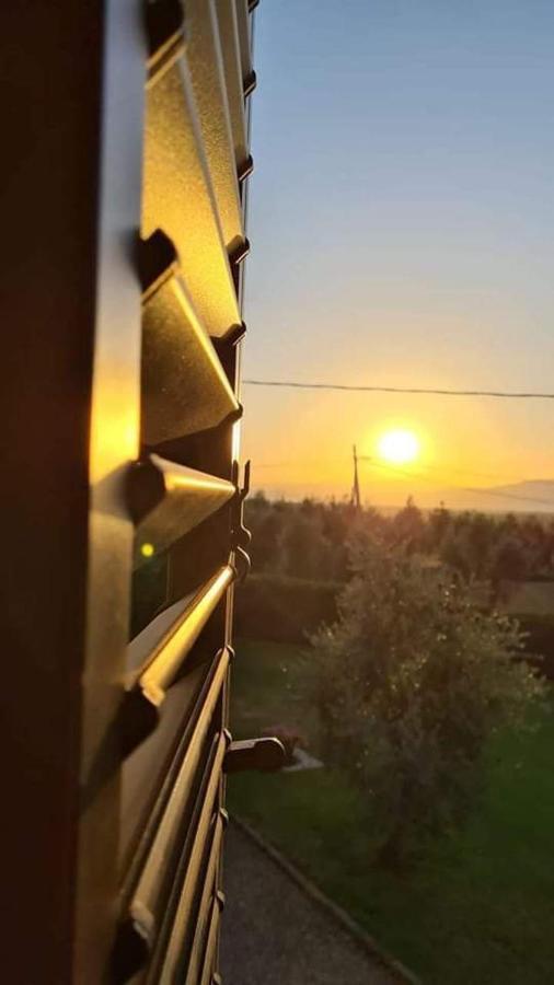 Ciggiano Casa Galinaヴィラ エクステリア 写真